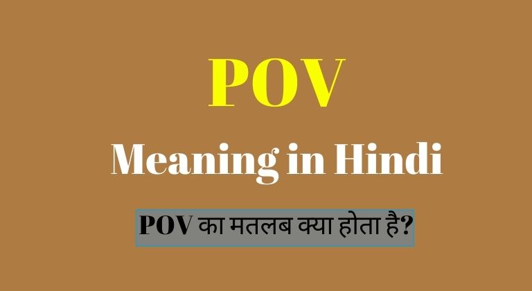 POV Meaning in Hindi