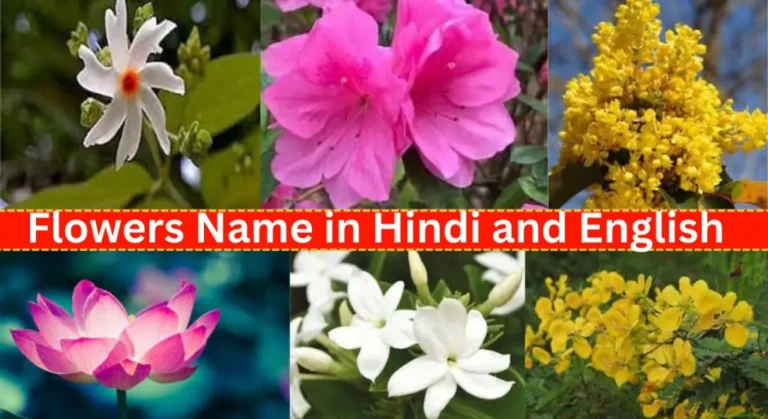 Flowers Name in Hindi and English