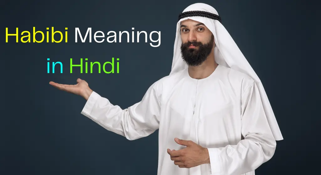 Habibi Meaning in Hindi