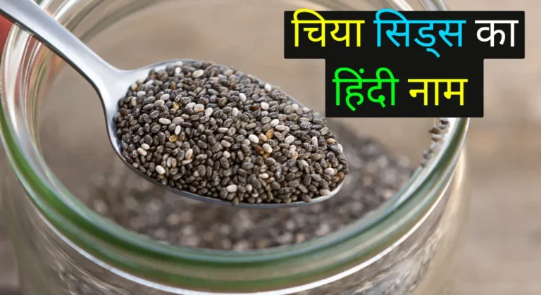 Chia Seeds Ka Hindi Naam