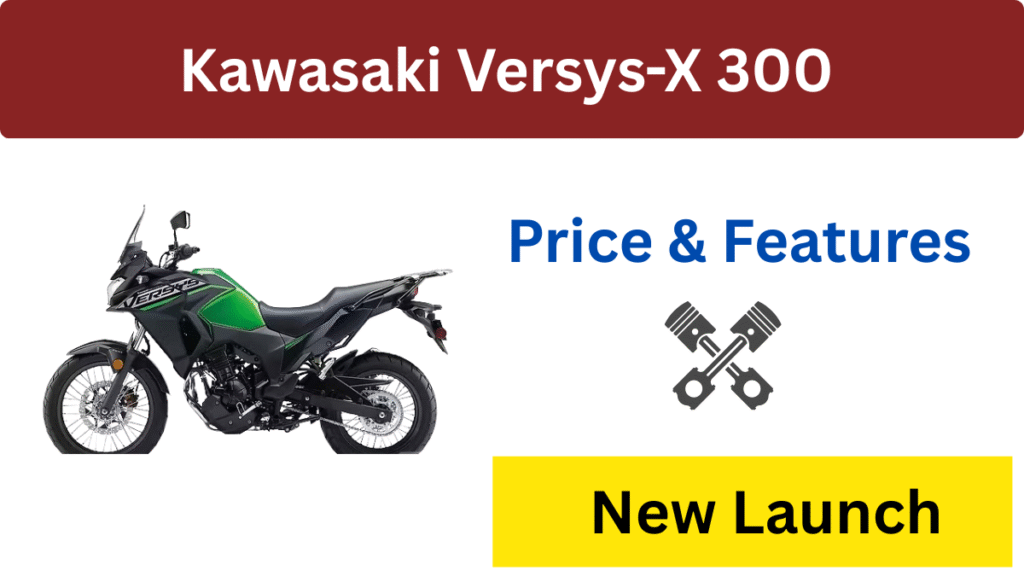 Kawasaki Versys-X 300